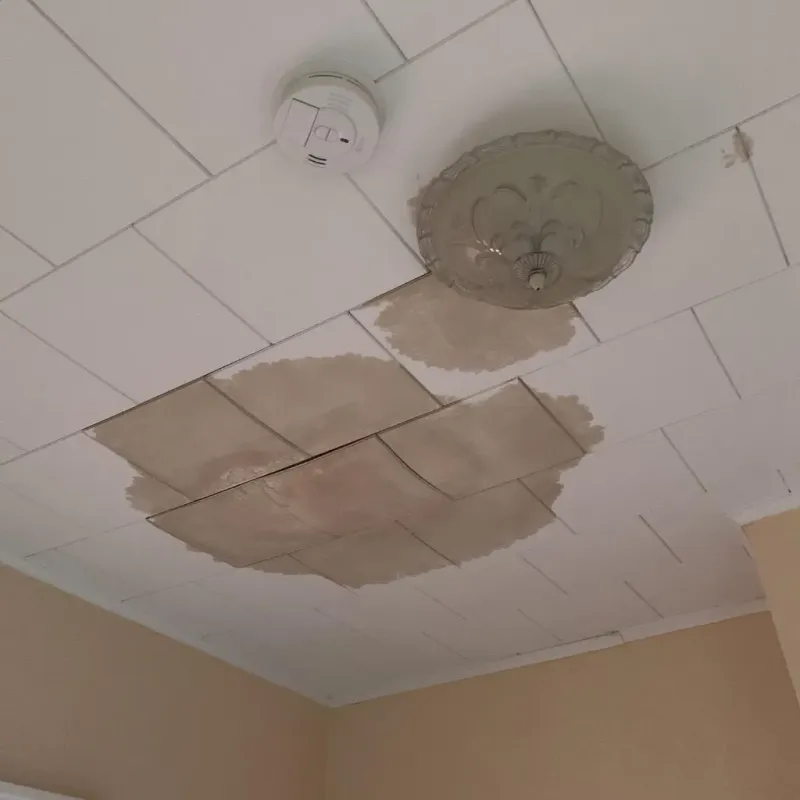 Ceiling Water Damage Repair in Fayette County, OH
