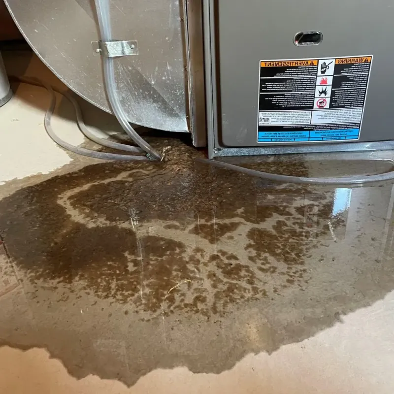 Pipe Burst and Leak Restoration in Fayette County, OH