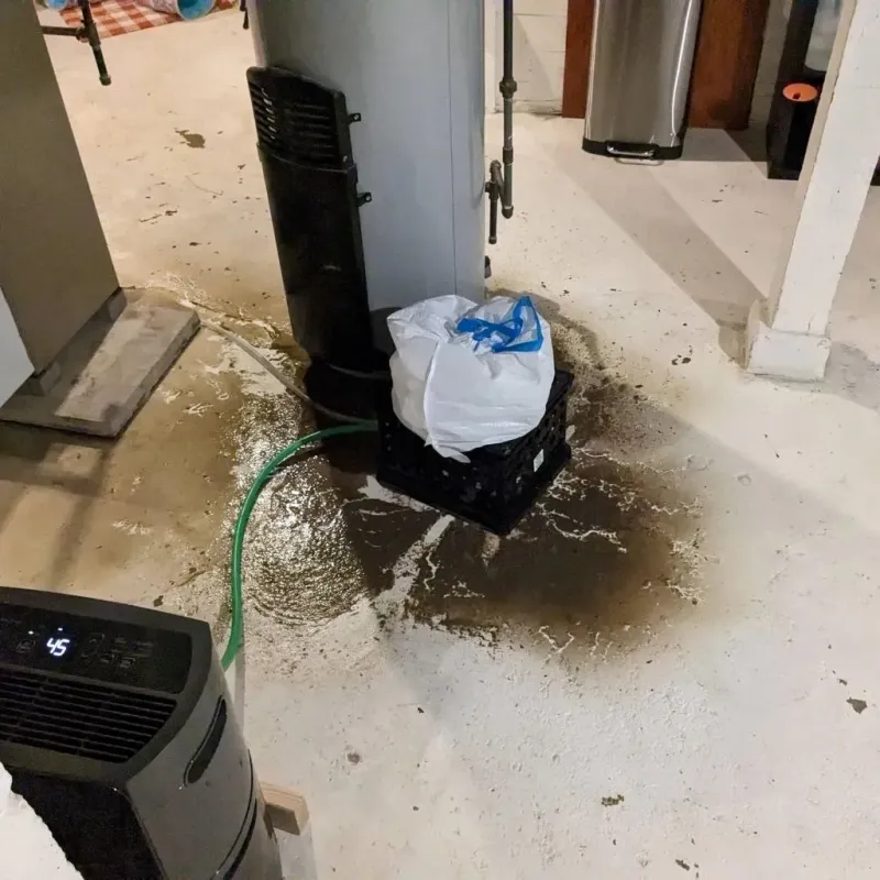 Sewage Backup Cleanup Service in Fayette County, OH